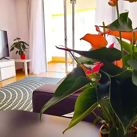 Sea View Appartement Radazul